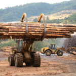 Forest machinery sales surge as operators’ focal point shifts to precision forestry practices