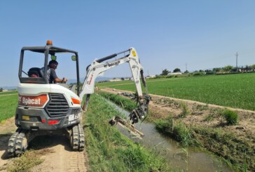 Bobcat E26 provides efficient maintenance of Spanish rice fields