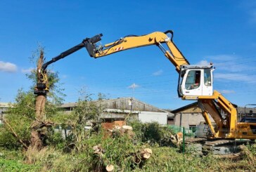 Xwatch solves Mechanised Arb Contractors challenge with bespoke RCI solution